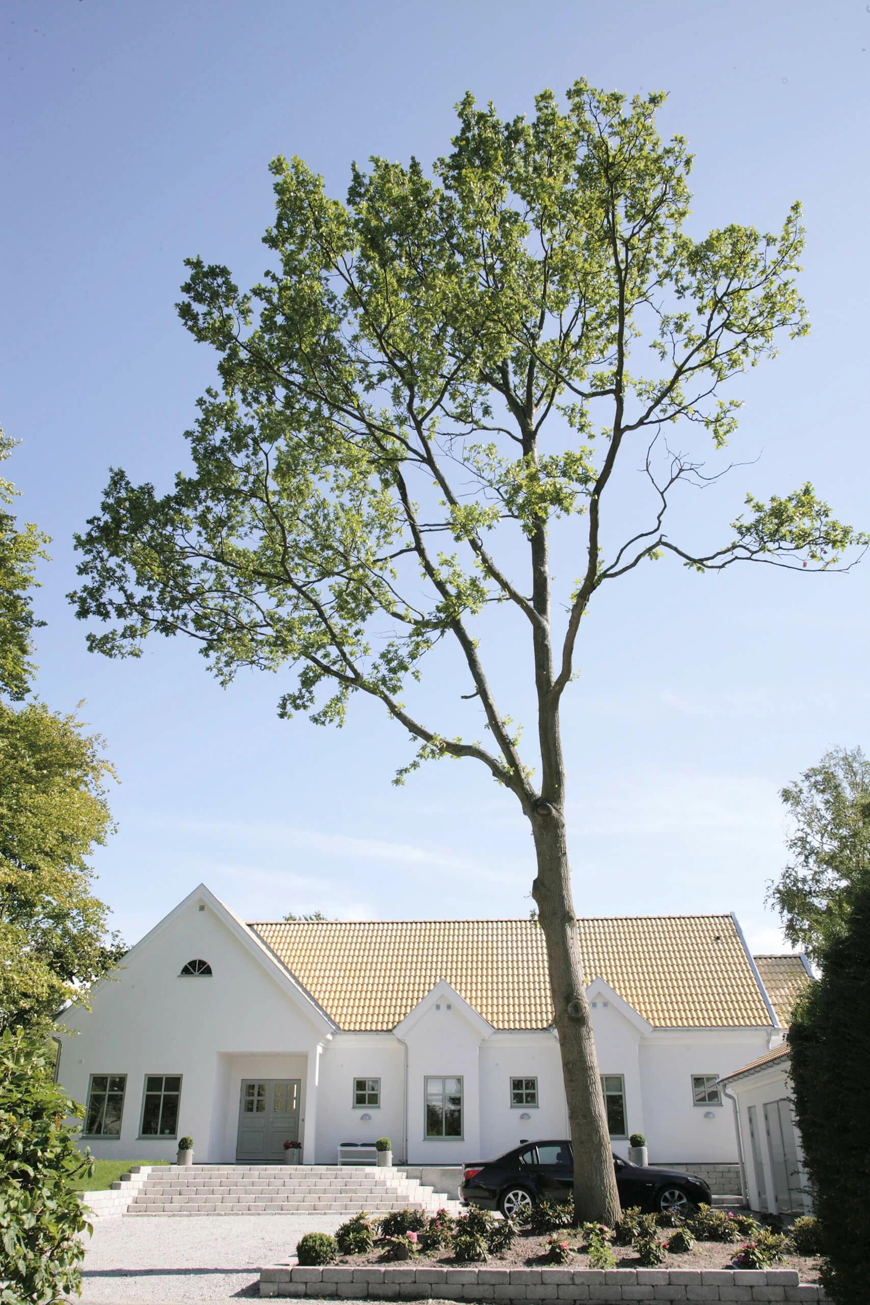 trivselhus villa åkarp fasad bygga hus