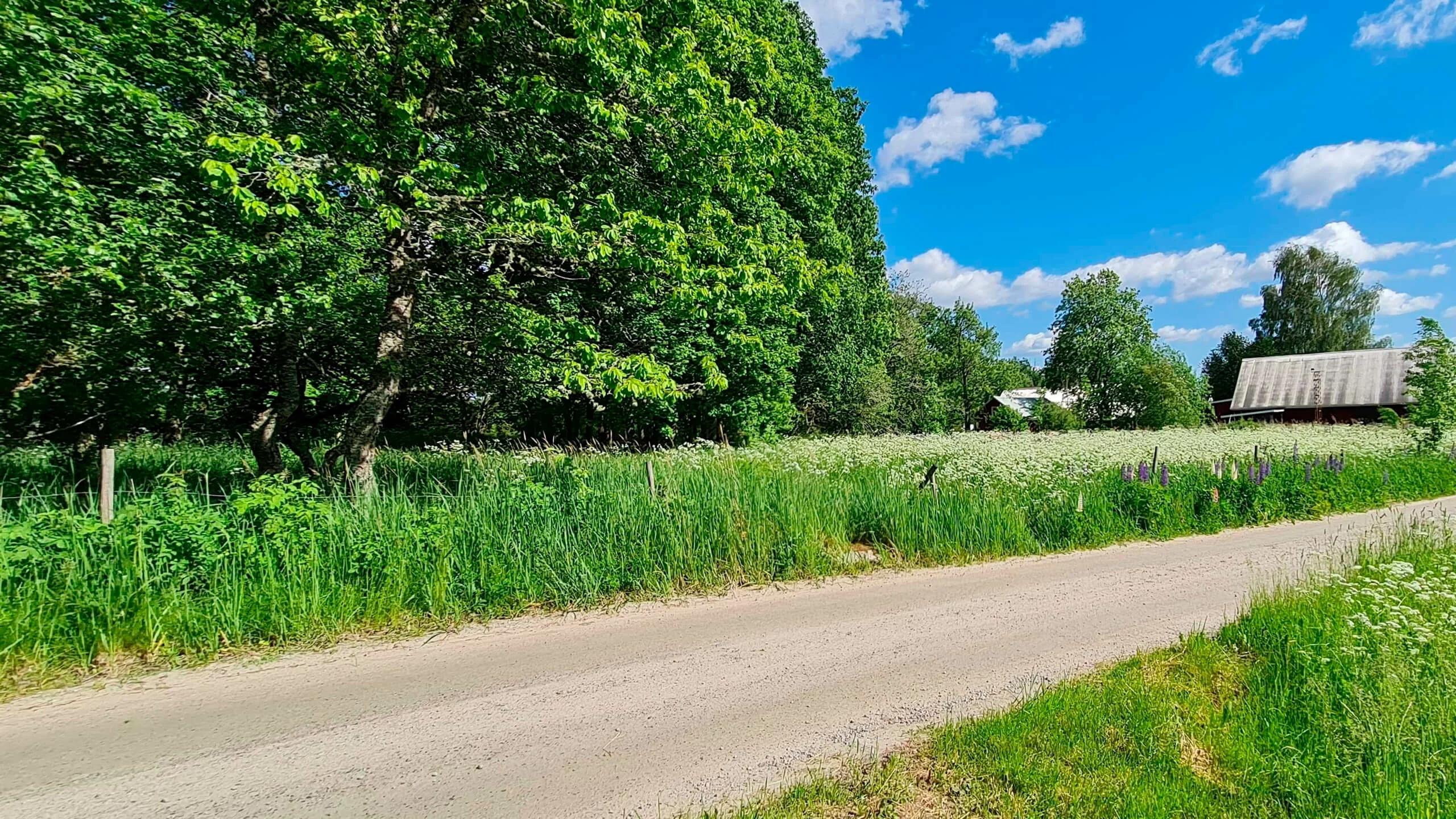 trivselhus lediga tomter alvesta humlaryd
