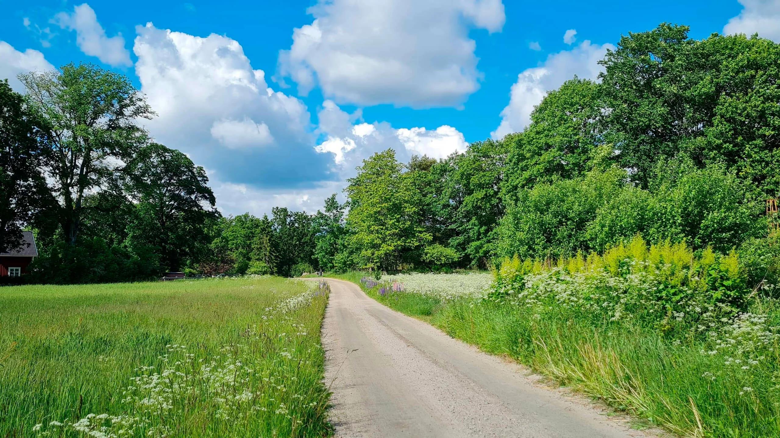 trivselhus lediga tomter alvesta humlaryd