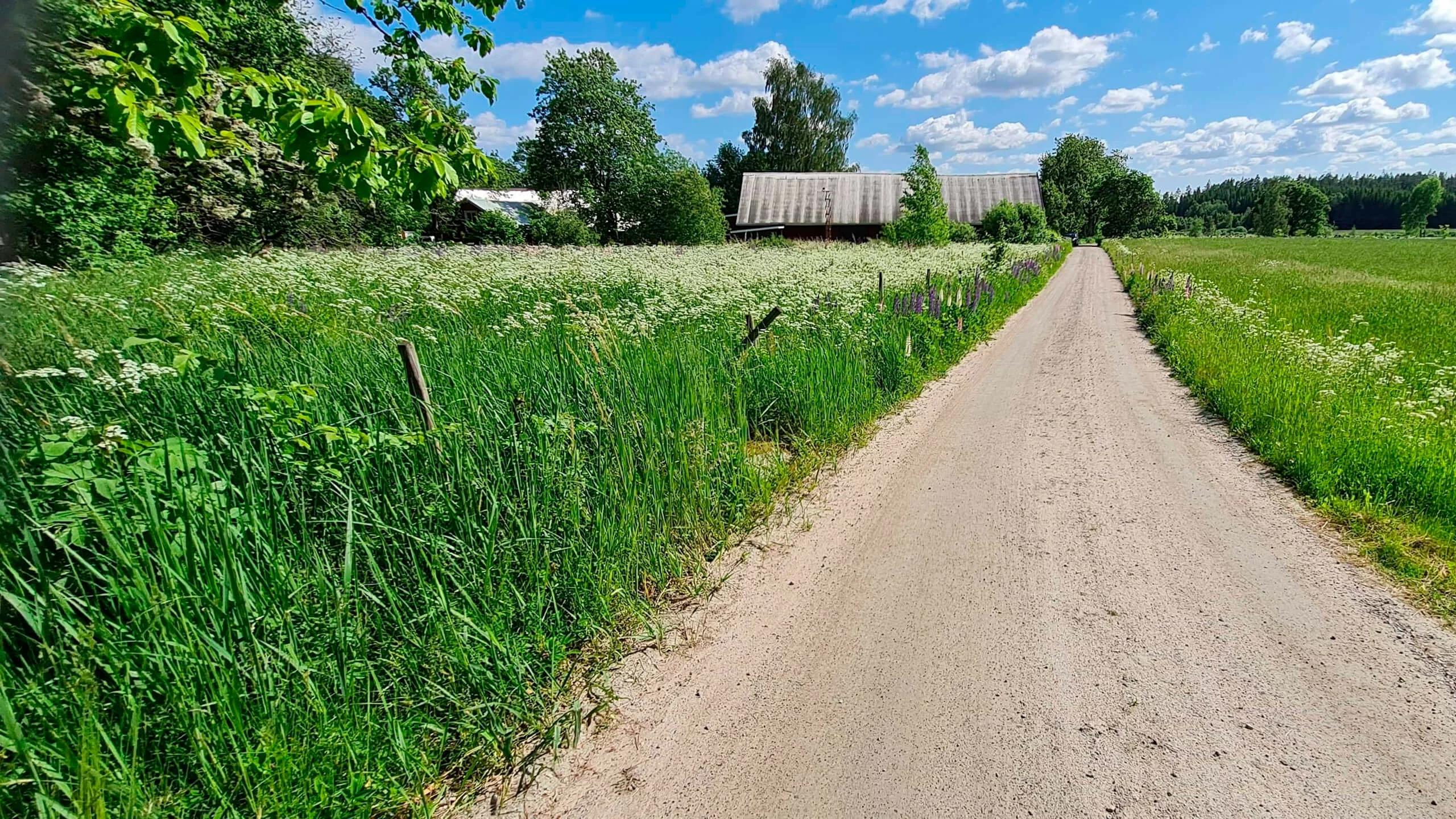 trivselhus lediga tomter alvesta humlaryd