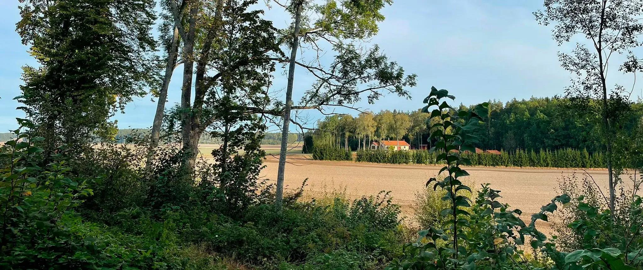 trivselhus lediga tomter nykoping