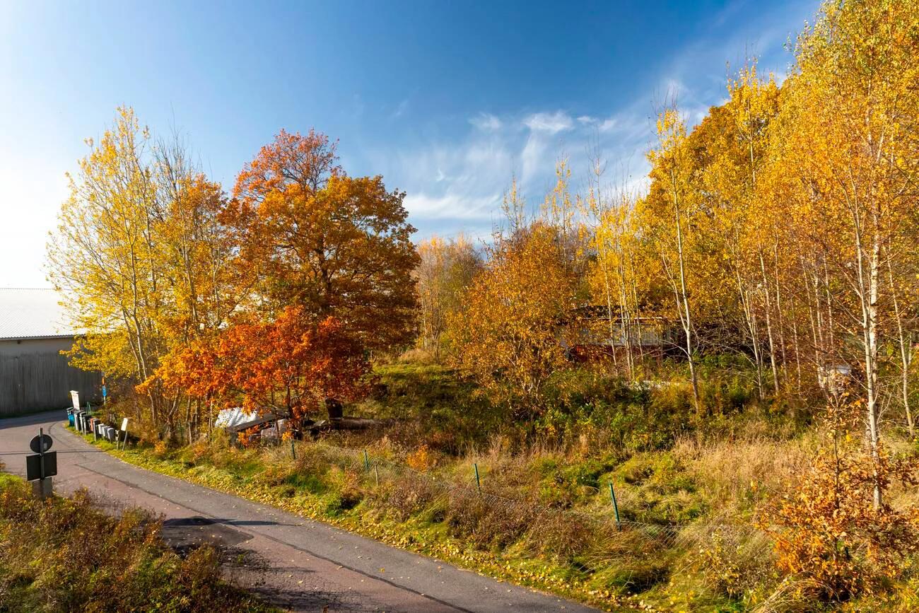 trivselhus lediga tomter torslanda