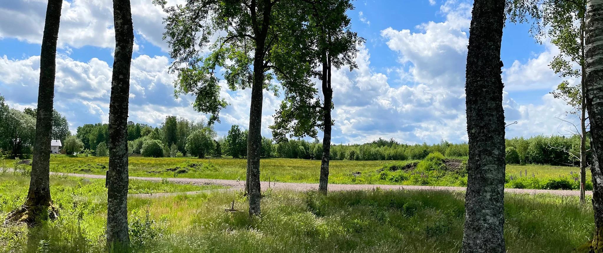 trivselhus lediga tomter vänersborg trestad