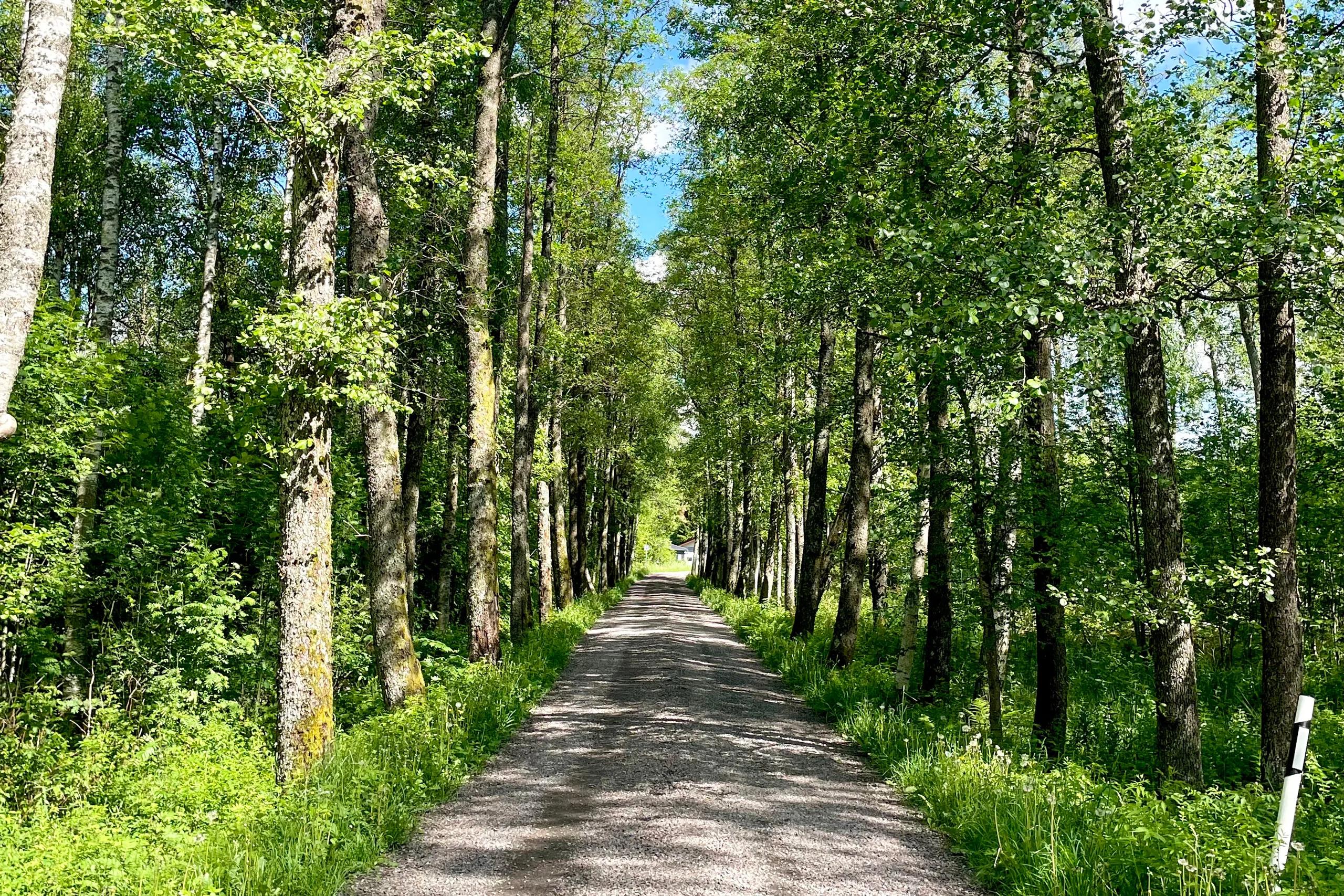 trivselhus lediga tomter vänersborg trestad