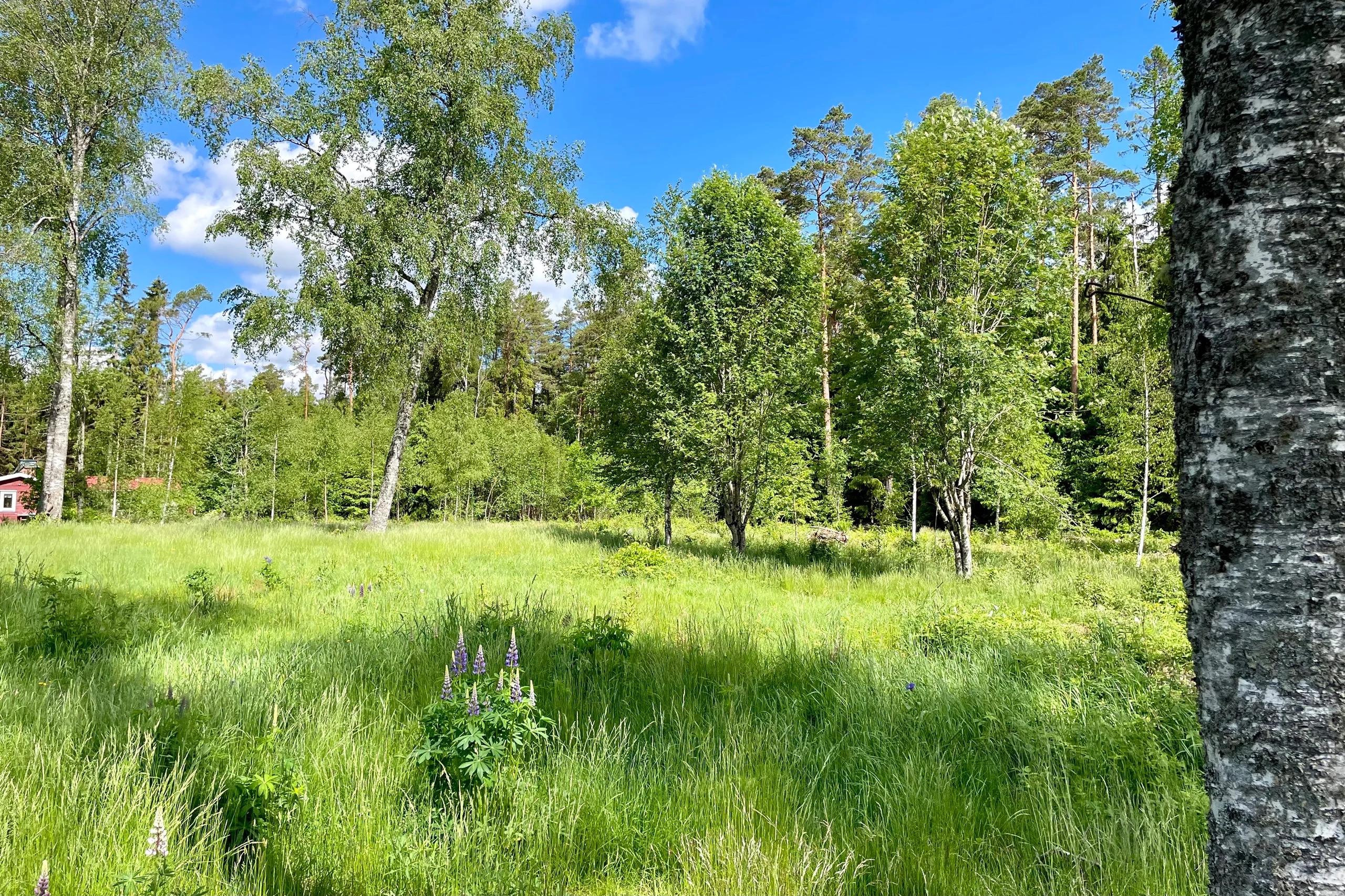 trivselhus lediga tomter vänersborg trestad
