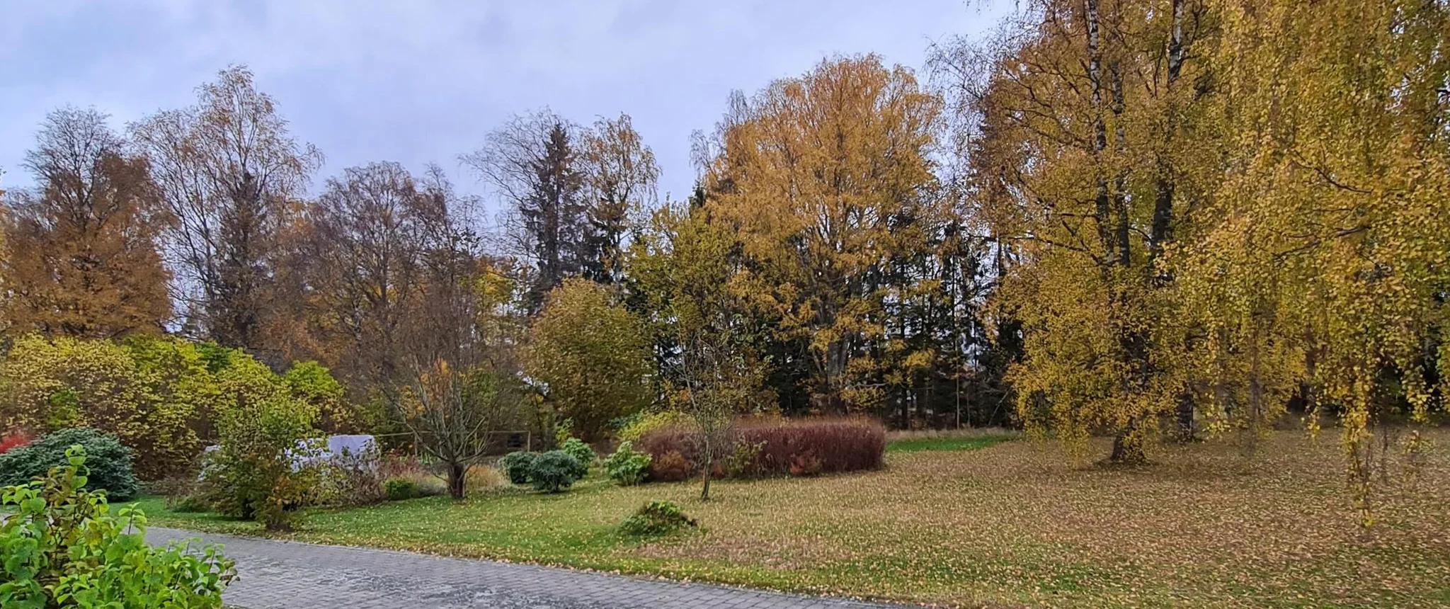 trivselhus lediga tomter växjö