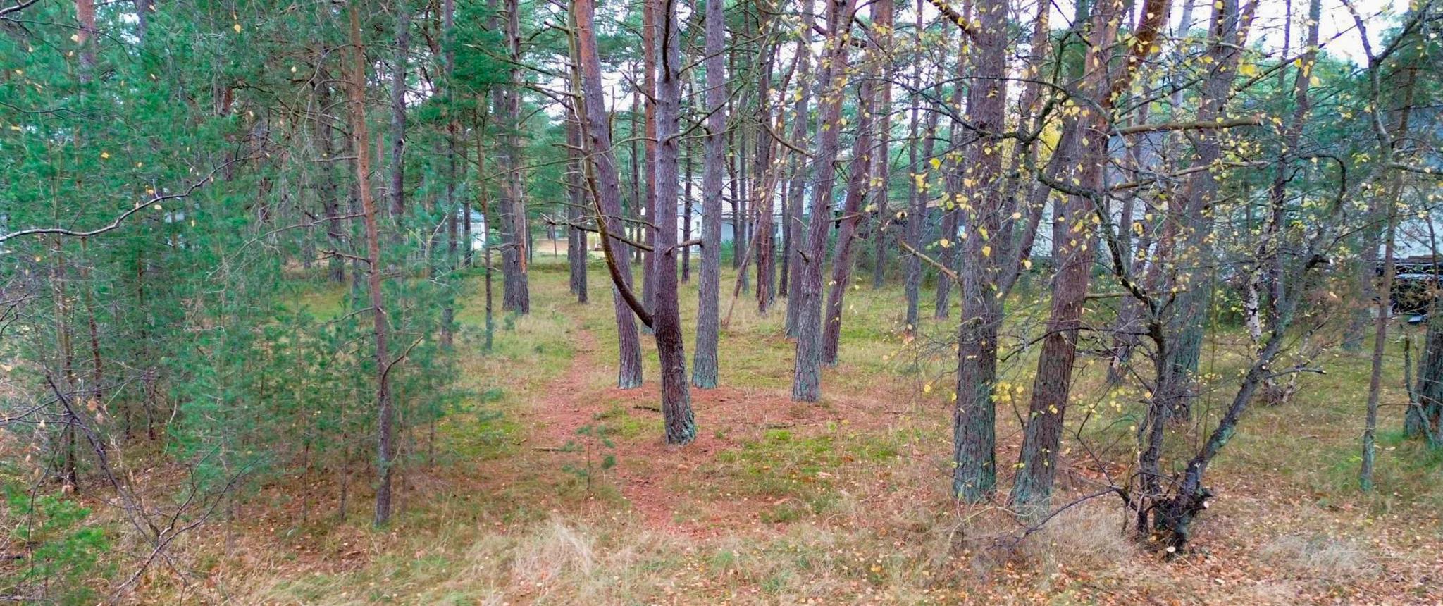 trivselhus lediga tomter vellinge