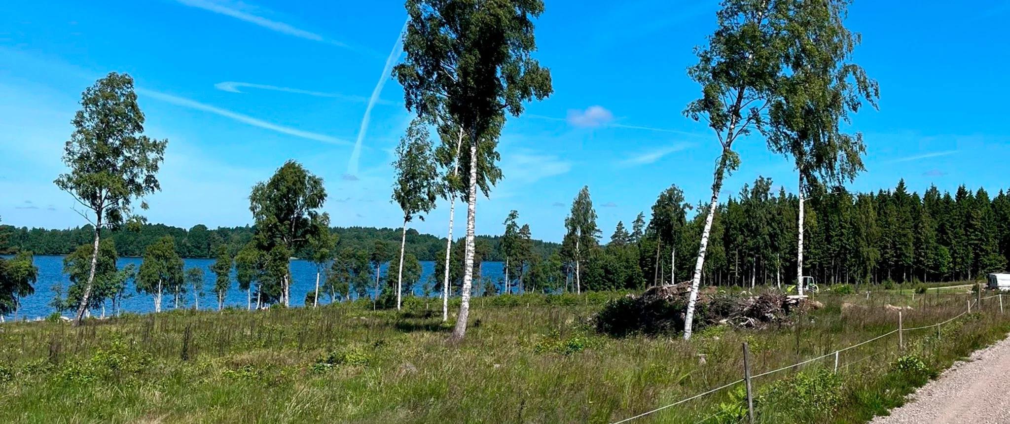 trivselhus ledig tomt sävsjö nässjo vallsjön