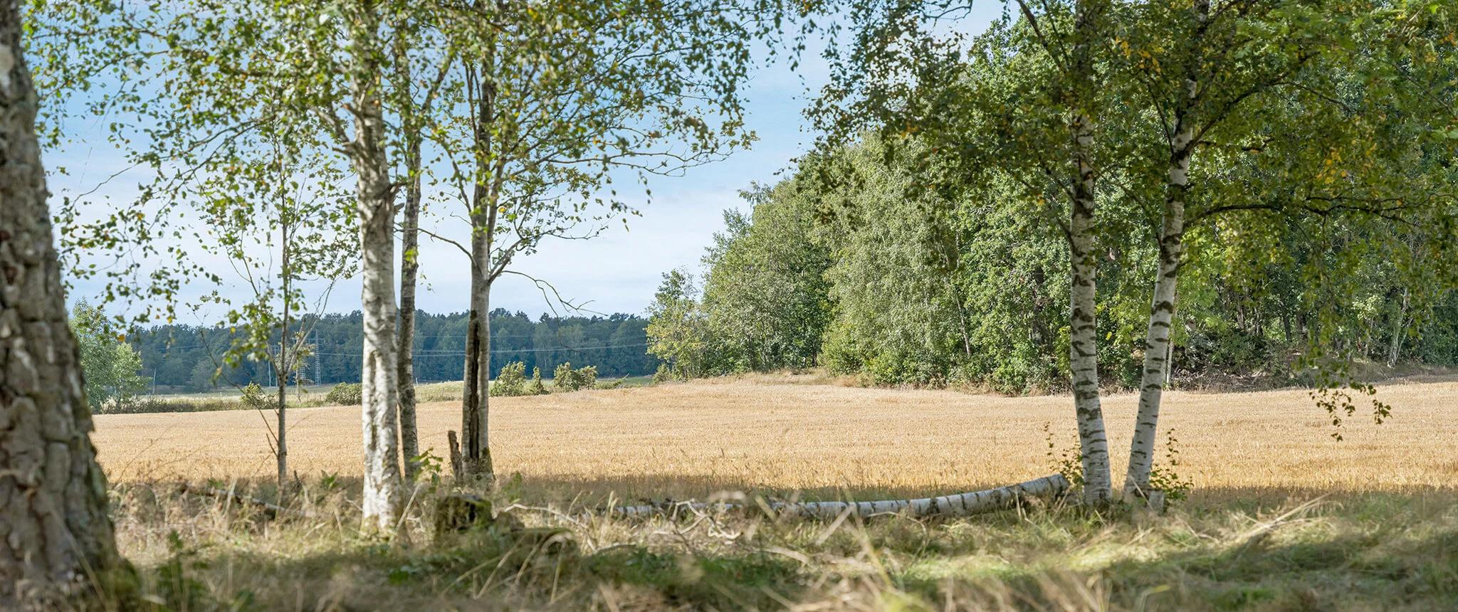 trivselhus lediga tomter trollhättan gärdhem
