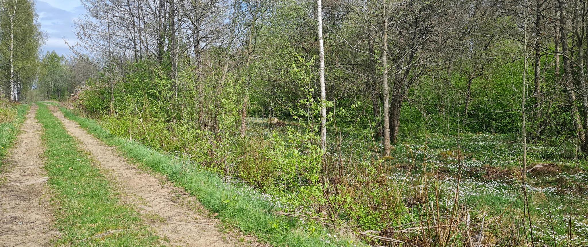 trivselhus lediga tomter växjö